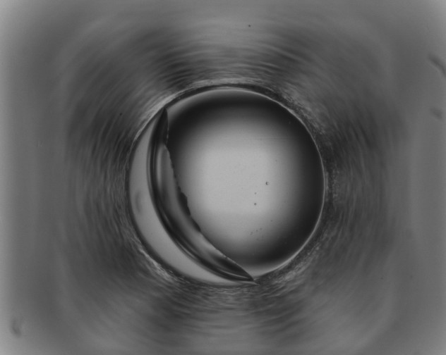 X0000091721177200708311131