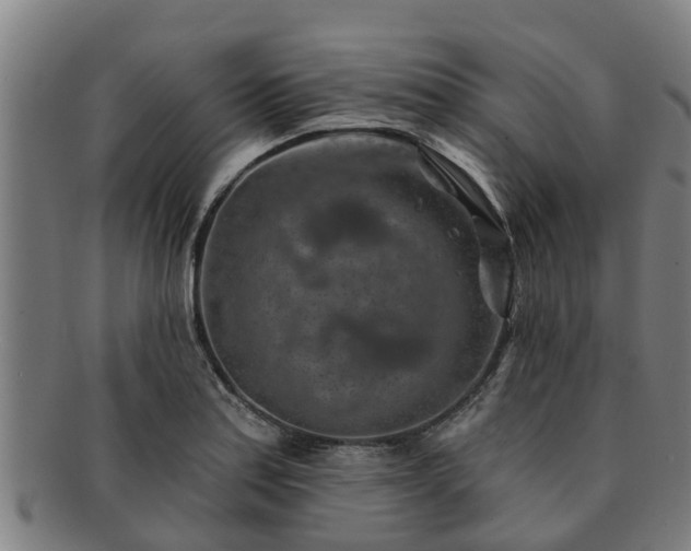 X0000091721179200708311131