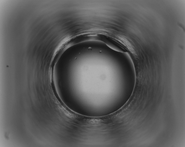 X0000091721180200708311131