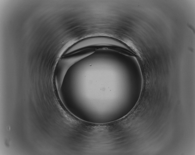 X0000091721181200708311131