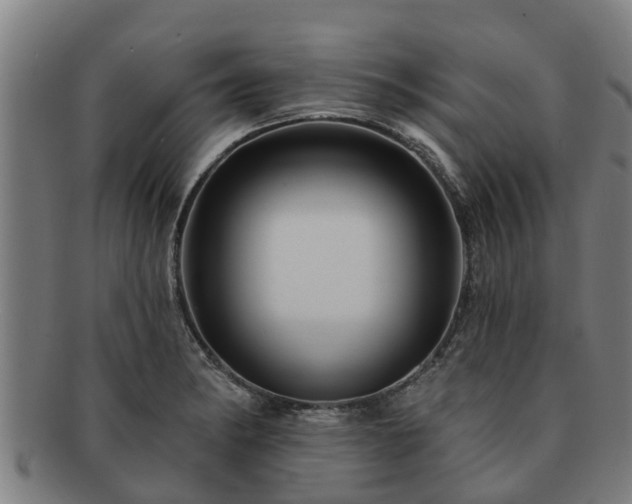 X0000091721182200708311131