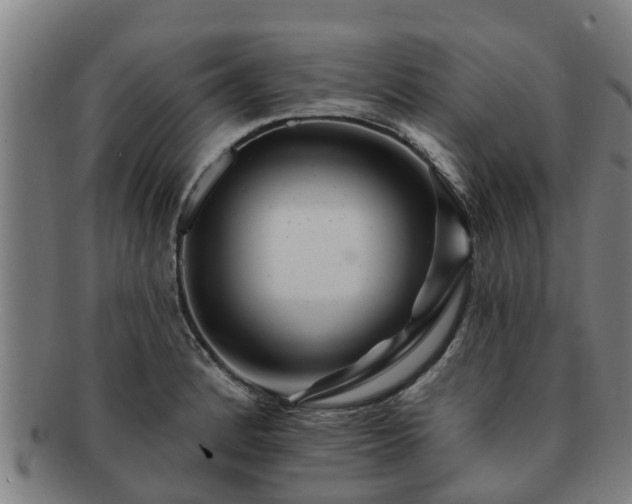 X0000091721184200708311131