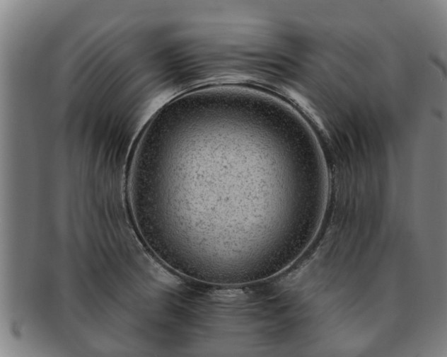 X0000091721186200708311131