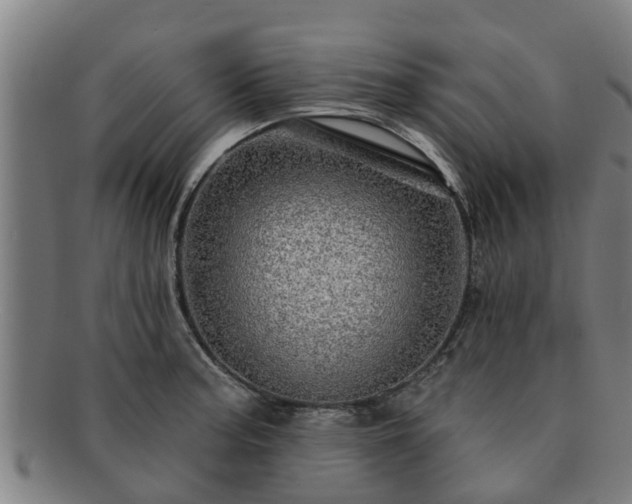 X0000091721187200708311131