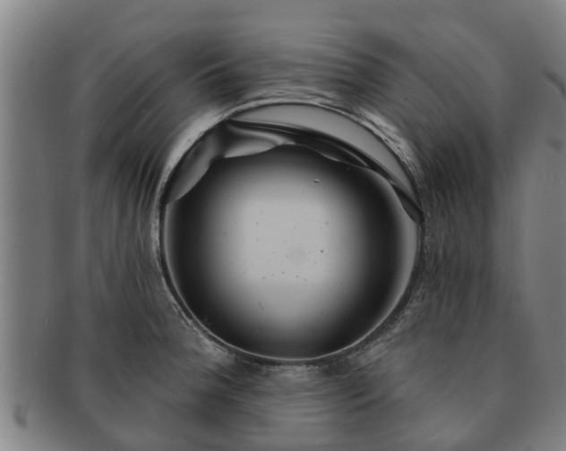 X0000091721188200708311131