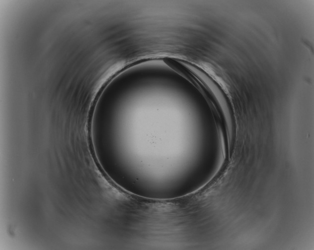 X0000091721189200708311131