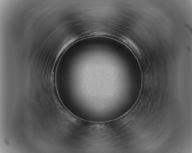 X0000091721190200708311131