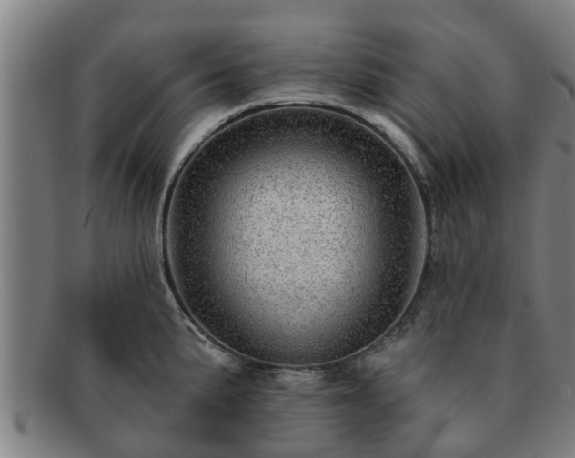 X0000091721191200708311131