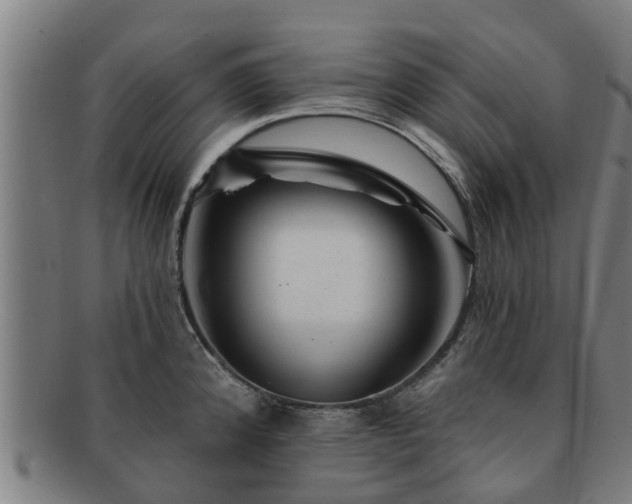 X0000091721192200708311131
