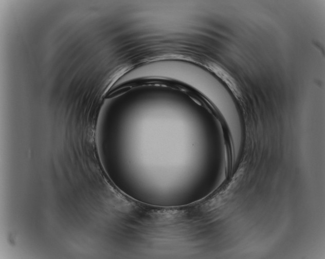 X0000091721193200708311131