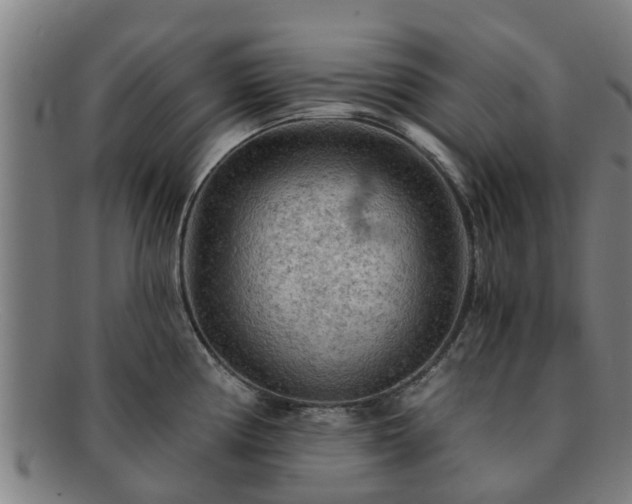 X0000091721194200708311131