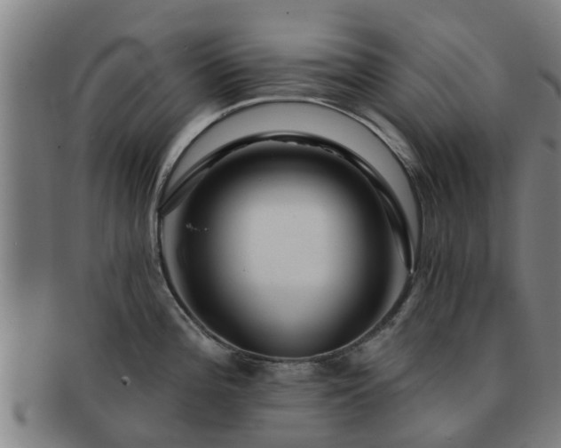 X0000091721196200708311131