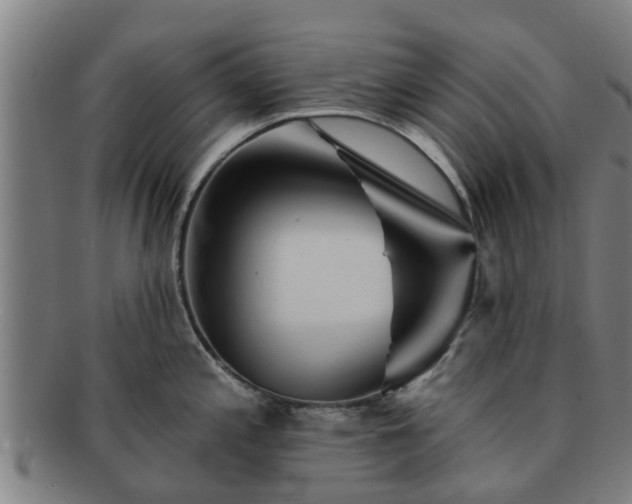 X0000091721197200708311131