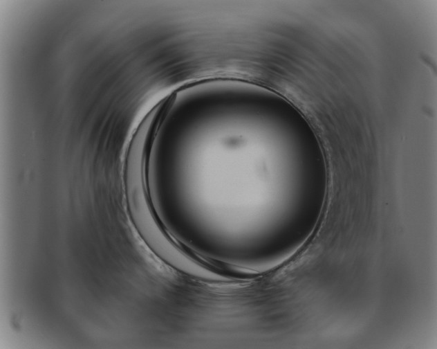 X0000091721200200708311131