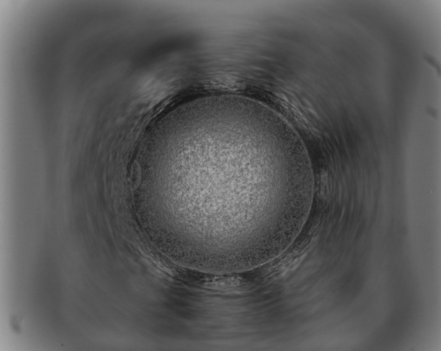 X0000091721201200708311130