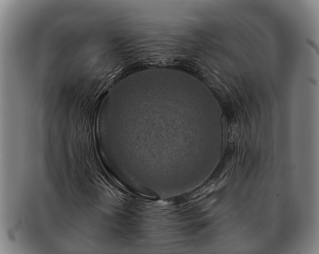 X0000091721202200708311130