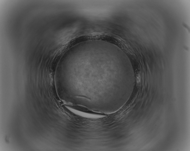 X0000091721204200708311130