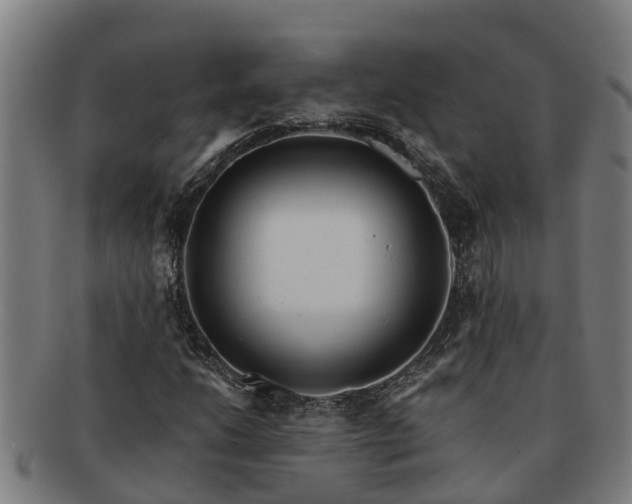 X0000091721206200708311130