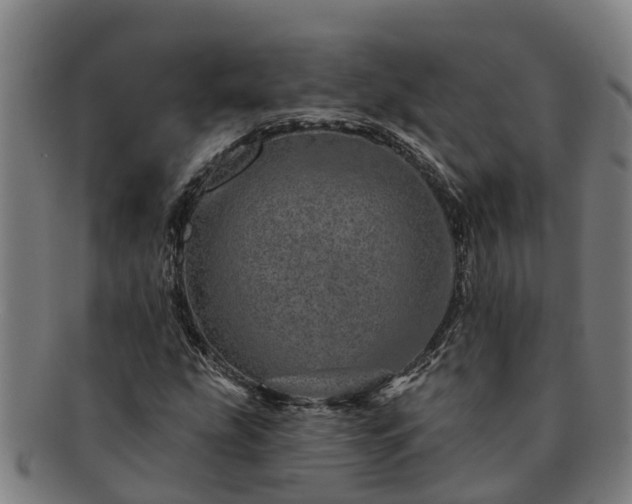 X0000091721207200708311130