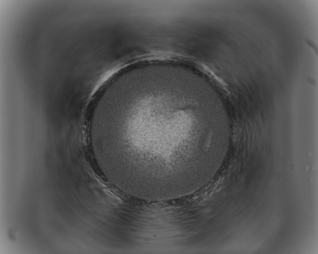 X0000091721208200708311130