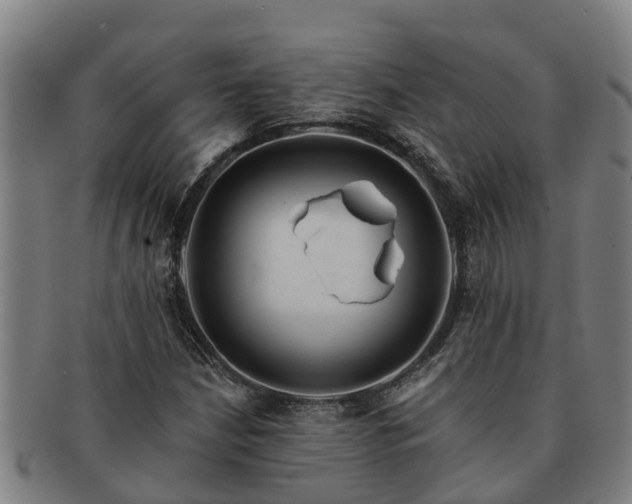 X0000091721210200708311130