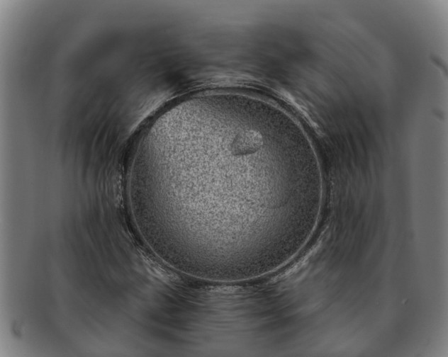 X0000091721211200708311130