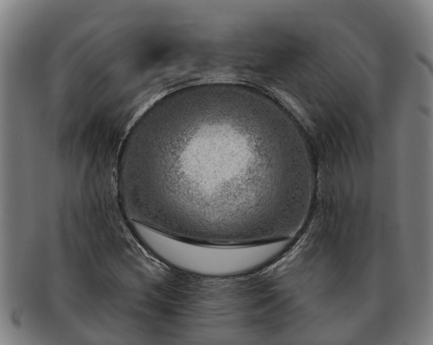 X0000091721212200708311130
