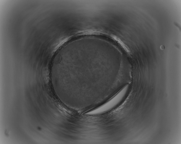 X0000091721213200708311130