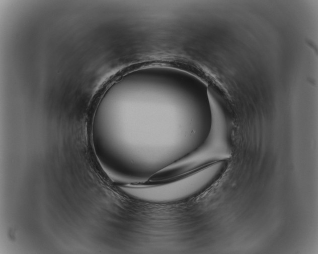 X0000091721214200708311130