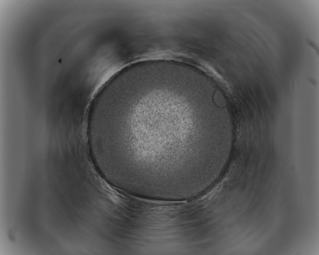 X0000091721216200708311130