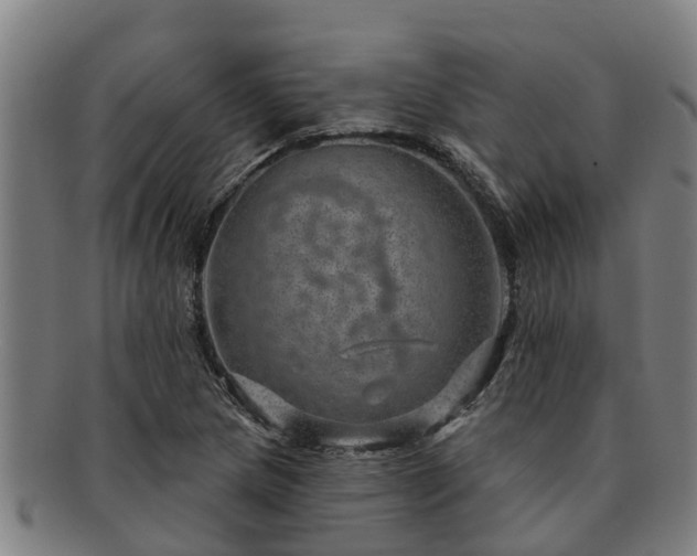 X0000091721217200708311131