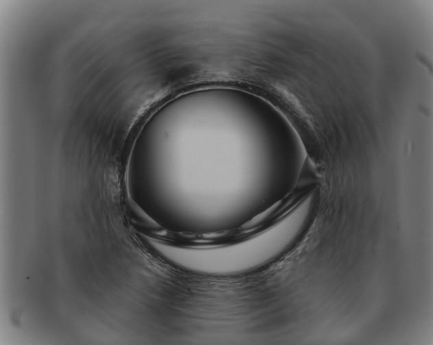 X0000091721218200708311131