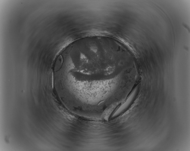X0000091721219200708311131