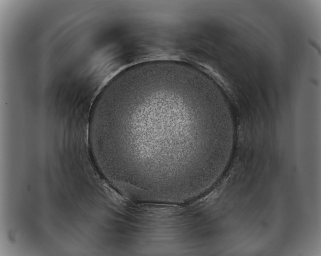 X0000091721220200708311131