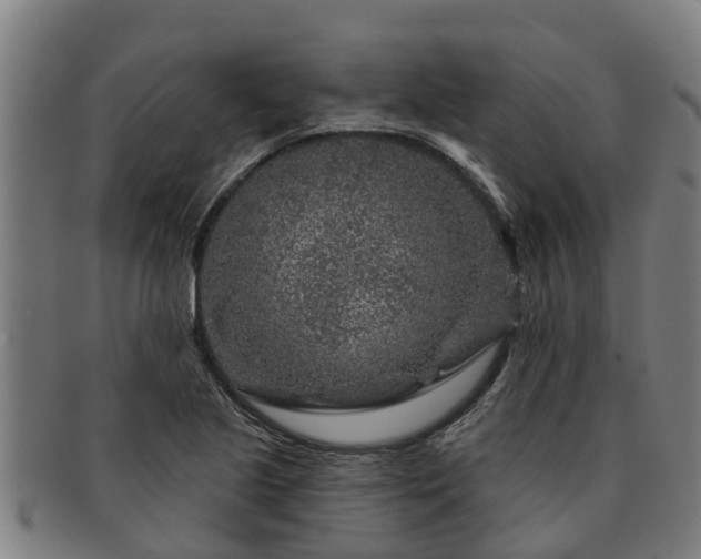 X0000091721221200708311131