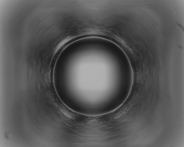 X0000091721222200708311131