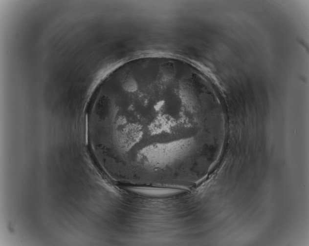 X0000091721223200708311131
