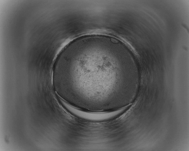 X0000091721224200708311131