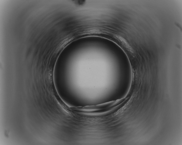 X0000091721225200708311131