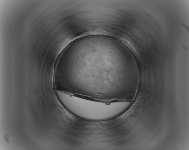 X0000091721228200708311131