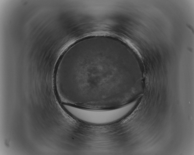 X0000091721229200708311131