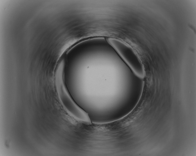 X0000091721230200708311131