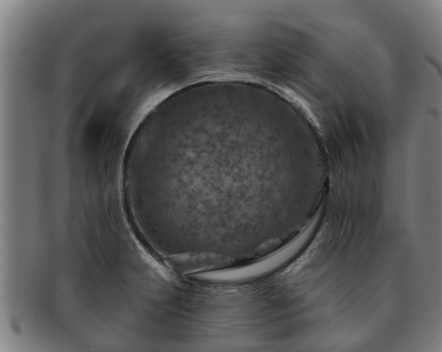 X0000091721231200708311131