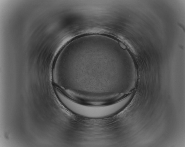 X0000091721232200708311131