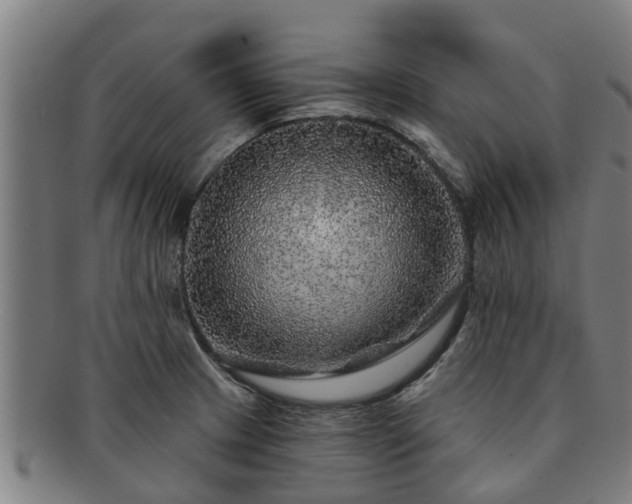 X0000091721233200708311131