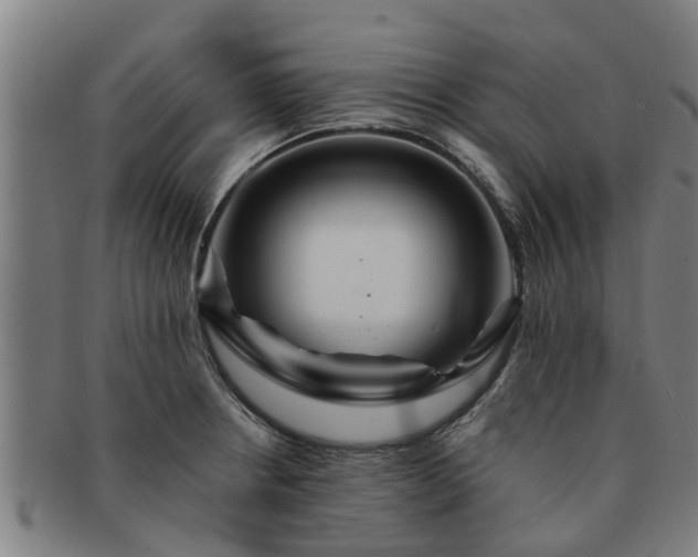 X0000091721234200708311131