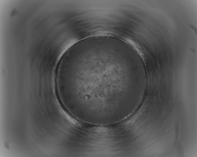 X0000091721235200708311131