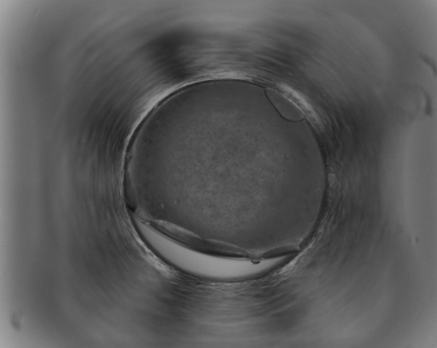 X0000091721236200708311131