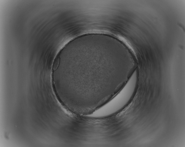 X0000091721237200708311131