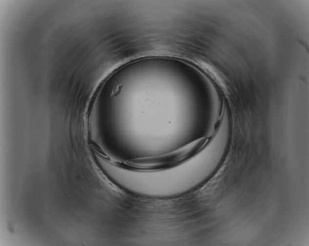 X0000091721238200708311131